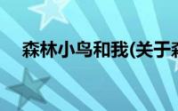 森林小鸟和我(关于森林小鸟和我的简介)