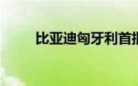 比亚迪匈牙利首批乘用车正式交付
