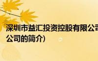 深圳市益汇投资控股有限公司(关于深圳市益汇投资控股有限公司的简介)