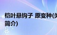 桤叶悬钩子 原变种(关于桤叶悬钩子 原变种的简介)