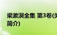 梁漱溟全集 第3卷(关于梁漱溟全集 第3卷的简介)