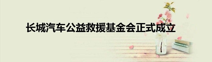 长城汽车公益救援基金会正式成立