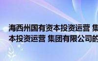 海西州国有资本投资运营 集团有限公司(关于海西州国有资本投资运营 集团有限公司的简介)