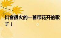 抖音很火的一首带花开的歌（你看那盛开的花来自期盼的种子）
