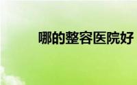 哪的整容医院好（有哪些整容院）