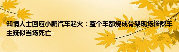 知情人士回应小鹏汽车起火：整个车都烧成骨架现场惨烈车主疑似当场死亡