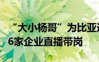 “大小杨哥”为比亚迪、京东方、国轩高科等6家企业直播带岗