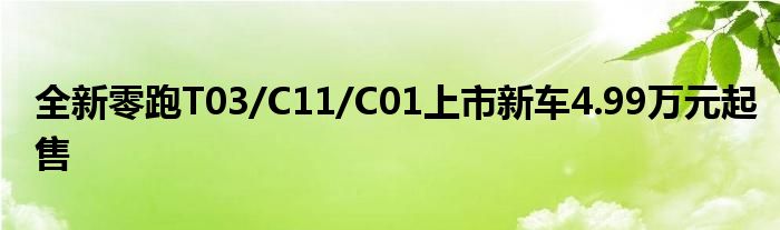 全新零跑T03/C11/C01上市新车4.99万元起售