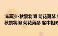 浣溪沙·秋景将阑 菊花萧瑟 客中相对 倍觉凄然(关于浣溪沙·秋景将阑 菊花萧瑟 客中相对 倍觉凄然的简介)