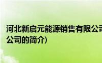 河北新启元能源销售有限公司(关于河北新启元能源销售有限公司的简介)