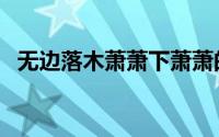 无边落木萧萧下萧萧的意思（萧萧的意思）