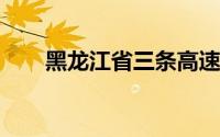 黑龙江省三条高速公路正式交工通车