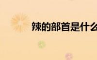 辣的部首是什么部（辣的部首）
