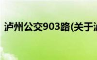 泸州公交903路(关于泸州公交903路的简介)