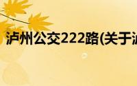 泸州公交222路(关于泸州公交222路的简介)