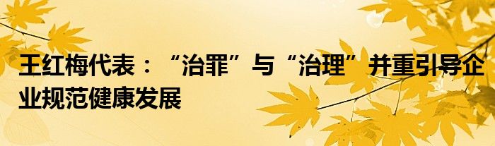 王红梅代表：“治罪”与“治理”并重引导企业规范健康发展