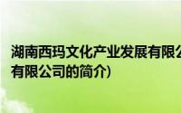 湖南西玛文化产业发展有限公司(关于湖南西玛文化产业发展有限公司的简介)
