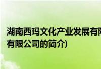 湖南西玛文化产业发展有限公司(关于湖南西玛文化产业发展有限公司的简介)