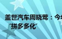 盖世汽车周晓莺：今年特别要警惕汽车产业的‘拼多多化’