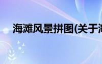 海滩风景拼图(关于海滩风景拼图的简介)