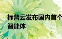 标普云发布国内首个财税大模型及BPai财税智能体