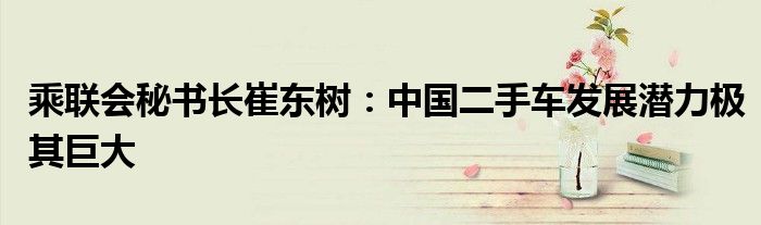 乘联会秘书长崔东树：中国二手车发展潜力极其巨大
