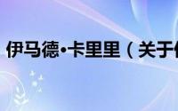 伊马德·卡里里（关于伊马德·卡里里的简介）