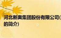 河北新奥集团股份有限公司(关于河北新奥集团股份有限公司的简介)