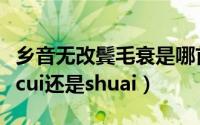 乡音无改鬓毛衰是哪首古诗（乡音无改鬓毛衰cui还是shuai）