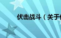 伏击战斗（关于伏击战斗的简介）