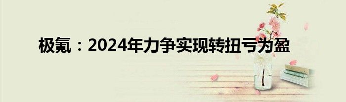 极氪：2024年力争实现转扭亏为盈