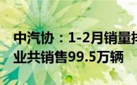 中汽协：1-2月销量排名前十位的轿车生产企业共销售99.5万辆