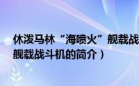 休泼马林“海喷火”舰载战斗机（关于休泼马林“海喷火”舰载战斗机的简介）