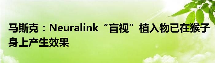 马斯克：Neuralink“盲视”植入物已在猴子身上产生效果