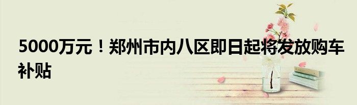 5000万元！郑州市内八区即日起将发放购车补贴