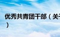 优秀共青团干部（关于优秀共青团干部的简介）