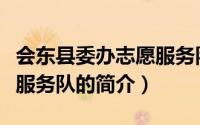 会东县委办志愿服务队（关于会东县委办志愿服务队的简介）