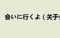 会いに行くよ（关于会いに行くよ的简介）