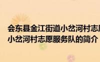 会东县金江街道小岔河村志愿服务队（关于会东县金江街道小岔河村志愿服务队的简介）