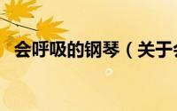 会呼吸的钢琴（关于会呼吸的钢琴的简介）