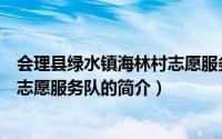 会理县绿水镇海林村志愿服务队（关于会理县绿水镇海林村志愿服务队的简介）