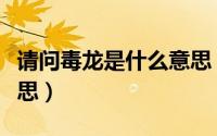 请问毒龙是什么意思（网上说的毒龙是什么意思）