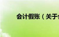 会计假账（关于会计假账的简介）