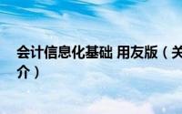 会计信息化基础 用友版（关于会计信息化基础 用友版的简介）