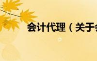 会计代理（关于会计代理的简介）