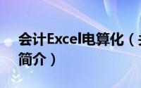 会计Excel电算化（关于会计Excel电算化的简介）