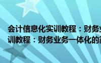 会计信息化实训教程：财务业务一体化（关于会计信息化实训教程：财务业务一体化的简介）