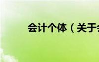 会计个体（关于会计个体的简介）