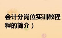 会计分岗位实训教程（关于会计分岗位实训教程的简介）