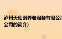 泸州天仙硐养老服务有限公司(关于泸州天仙硐养老服务有限公司的简介)